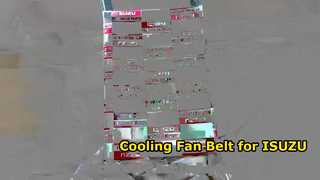 5-87610061-0 8-94479101-0 5876100610 8944791010 Cooling Fan Belt for ISUZU 4JA1 TFR TFS D-MAX