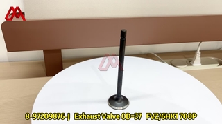8972098764 8-97209876-4 Exhaust Valve for ISUZU NPR 4HK1