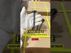 ME029007 Engine Valve for Mitsubishi 6D31 4D31 4D32
