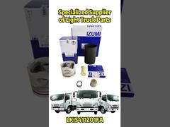 OEM Repalcement Part for ISUZU / Mitsubishi/ HINO/ JAC / NISSAN / TOYOTA