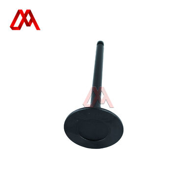 IZUMI Truck Spare Parts ME011244 ME011245 ME029006 ME029007 Engine Valve for Mitsubishi 6D31 4D31 4D32
