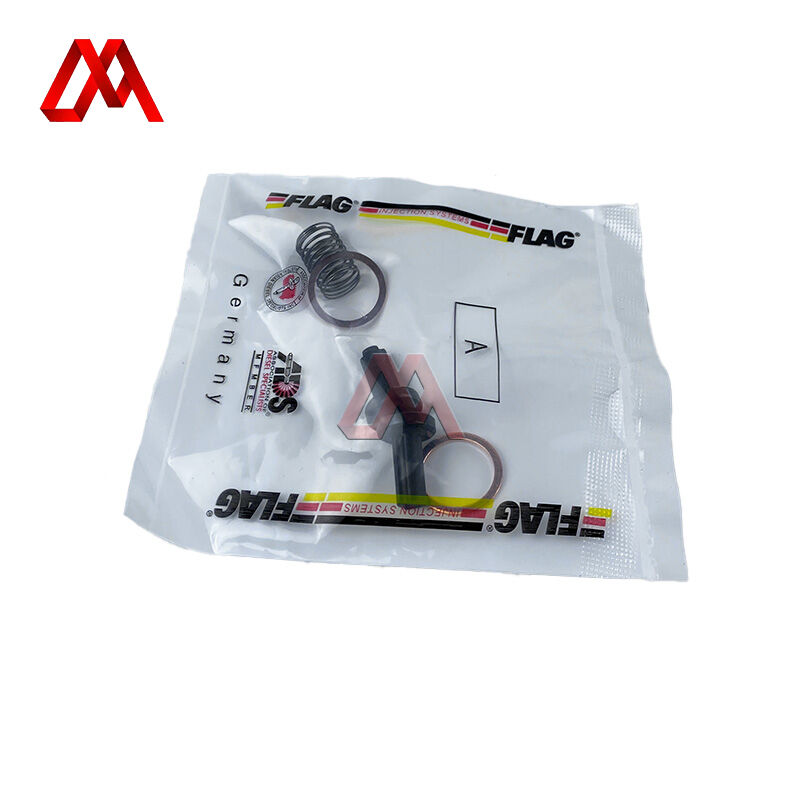 BM1104-G001-01 Truck Hand Pump Spring Repair Kit Universal Replacement