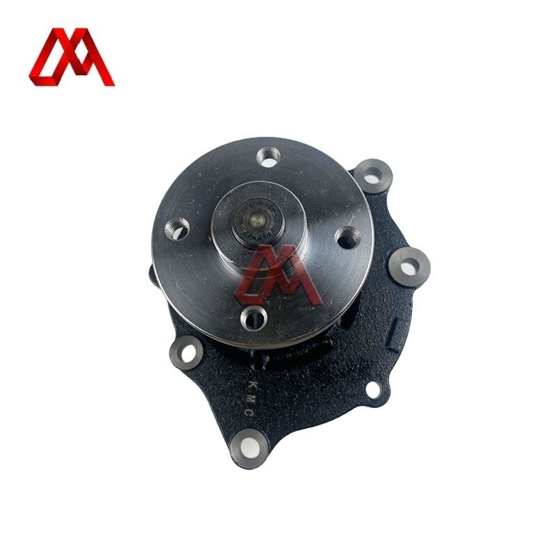 Water Pump Assy 16100-2970 16100-2971 For Hino H06C H07D H07CT Engine